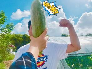 网红吃瓜 公众号推荐,揭秘娱乐圈最新热点事件！  第3张